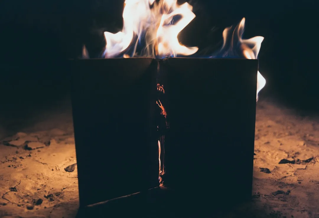 타로 마이너 완드 14장 학업 의지 동기 카드 리딩 가이드 썸네일