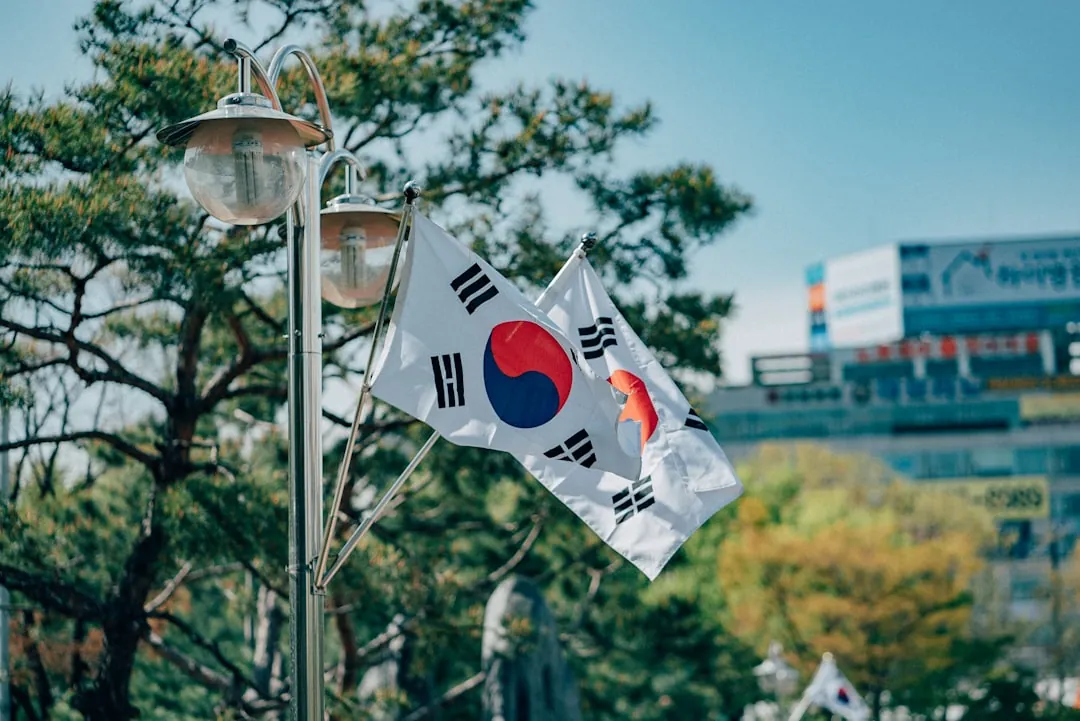 태극기 흰 국화 추모 헌화 이미지