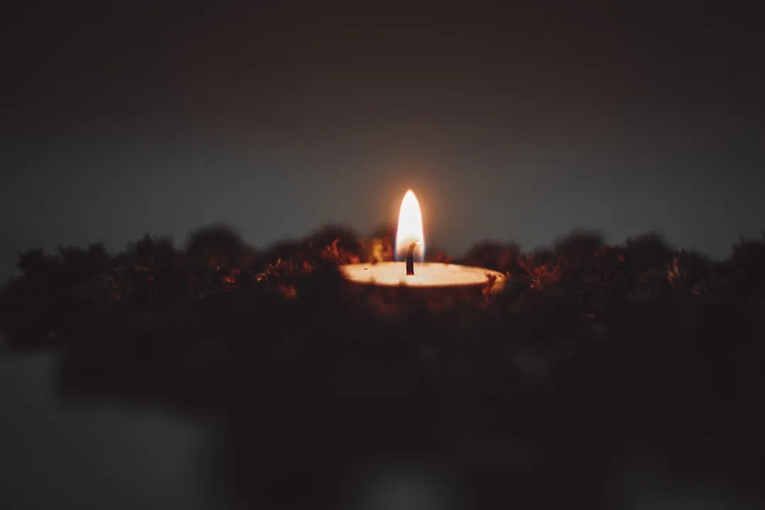 호국보훈의 달 6월 D-4 메모리얼 데이 후속 12지 띠별 추모 감사 가이드 썸네일