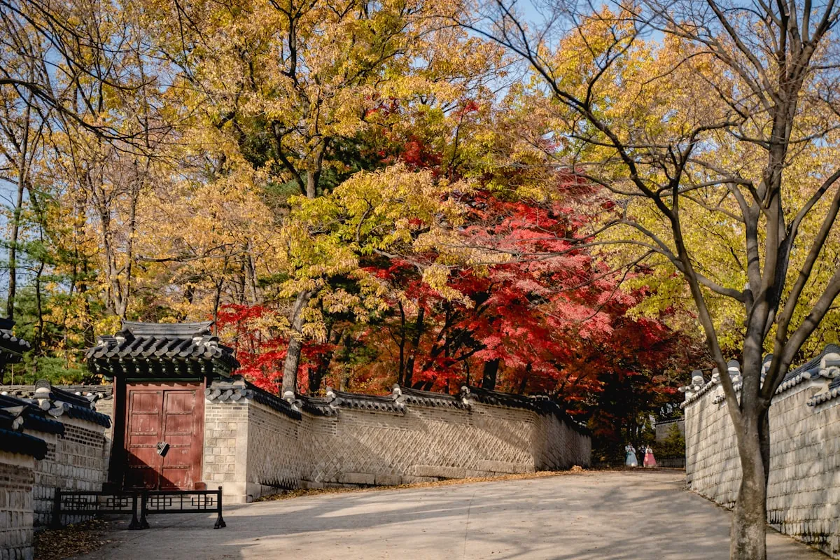 붉게 물든 잎과 전통 한옥 문을 배경으로, 상관 사주의 표현력과 재능을 자가진단하는 분위기를 떠올리게 하는 대표 이미지