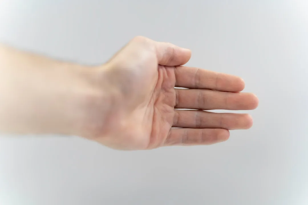 손목 안쪽 가로 주름을 다른 손 손가락으로 가리키며 선의 개수와 끊김을 살펴보는 모습, 팔찌선의 선명도와 사슬·끊김 모양으로 건강운을 읽는 방법을 보여주는 이미지